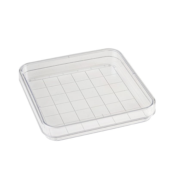 Simport D210-16 - Square Petri Dish with Grid / Qty 500