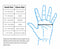 Aurelia Bold Nitrile Powder-Free Examination Black Gloves / Qty 1000 ( 10 Boxes of 100)