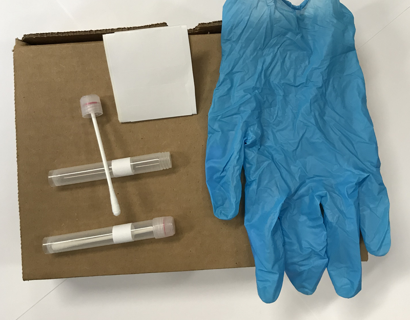 Test kit 25 Q-swab, Nitrile Gloves tags and paid Transport